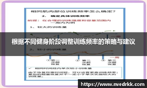 根据不同健身阶段调整训练频率的策略与建议